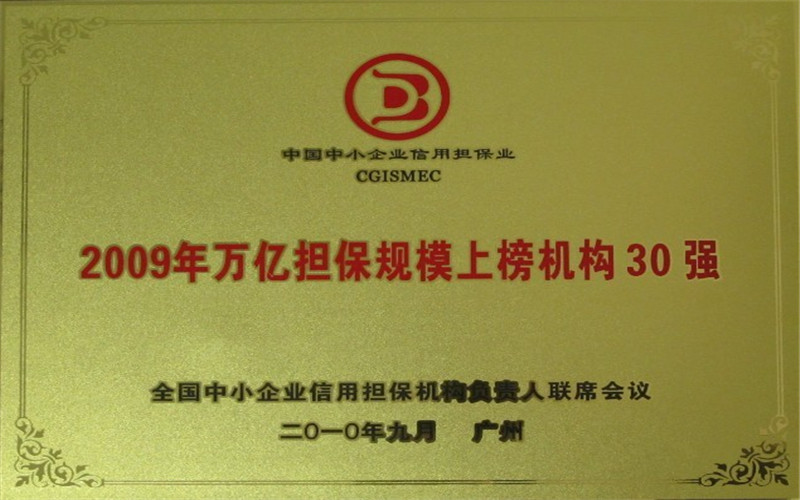 2009年萬(wàn)億擔(dān)保規(guī)模上榜機(jī)構(gòu)30強(qiáng)