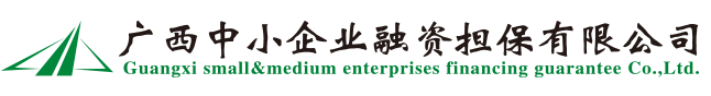 廣西中小企業(yè)融資擔保有限公司